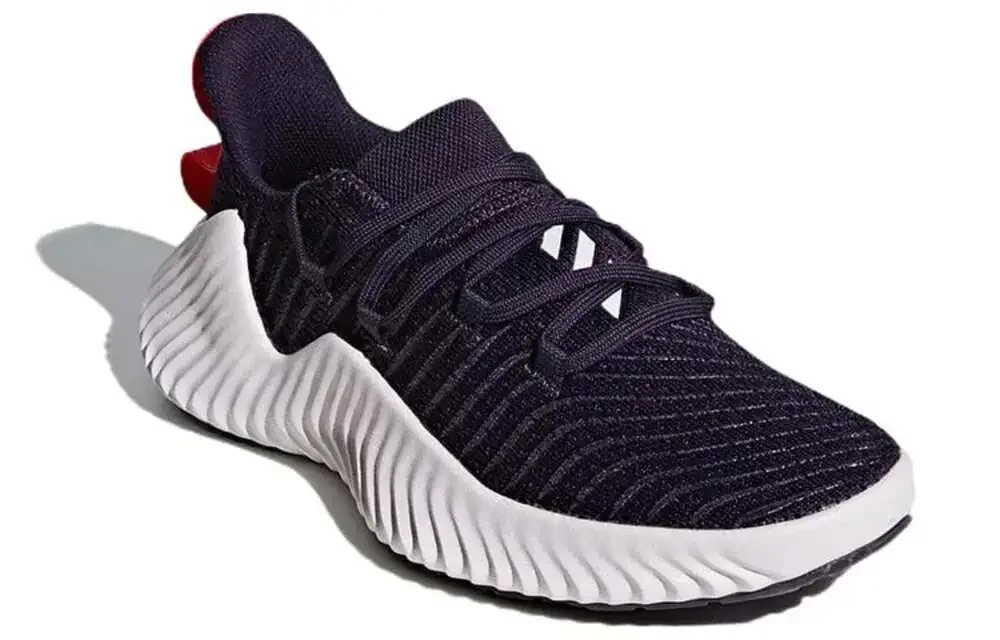 Adidas Alphabounce Instinct W Legend Purple Running Shoes BB9088 SIZE 9.5 WMNS